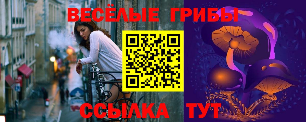 Псилоцибиновые грибы MAGIC MUSHROOMS  Вход с VPN  купить наркотик  Гагарин 